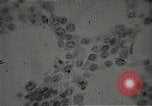 Immagine di Bomba atomica vittime Hiroshima Giappone, 1945, secondo 46 filmato di repertorio 65675036295