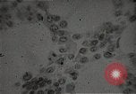 Immagine di Bomba atomica vittime Hiroshima Giappone, 1945, secondo 48 filmato di repertorio 65675036295