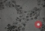 Immagine di Bomba atomica vittime Hiroshima Giappone, 1945, secondo 49 filmato di repertorio 65675036295