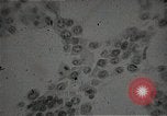 Immagine di Bomba atomica vittime Hiroshima Giappone, 1945, secondo 50 filmato di repertorio 65675036295