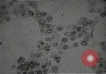 Immagine di Bomba atomica vittime Hiroshima Giappone, 1945, secondo 51 filmato di repertorio 65675036295