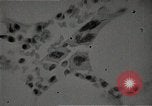 Immagine di Bomba atomica vittime Hiroshima Giappone, 1945, secondo 52 filmato di repertorio 65675036295