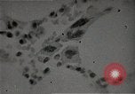 Immagine di Bomba atomica vittime Hiroshima Giappone, 1945, secondo 53 filmato di repertorio 65675036295