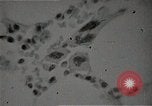 Immagine di Bomba atomica vittime Hiroshima Giappone, 1945, secondo 54 filmato di repertorio 65675036295