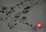 Immagine di Bomba atomica vittime Hiroshima Giappone, 1945, secondo 55 filmato di repertorio 65675036295