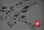 Immagine di Bomba atomica vittime Hiroshima Giappone, 1945, secondo 56 filmato di repertorio 65675036295