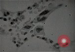 Immagine di Bomba atomica vittime Hiroshima Giappone, 1945, secondo 58 filmato di repertorio 65675036295
