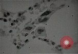 Immagine di Bomba atomica vittime Hiroshima Giappone, 1945, secondo 59 filmato di repertorio 65675036295