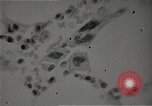 Immagine di Bomba atomica vittime Hiroshima Giappone, 1945, secondo 60 filmato di repertorio 65675036295