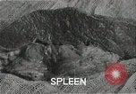 Immagine di Bomba atomica vittime Hiroshima Giappone, 1945, secondo 62 filmato di repertorio 65675036295