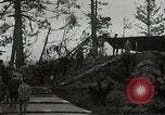 Standbild Hiroshima nach der Explosion Hiroshima Japan, 1946, aus Sekunde 40 historischem Filmmaterial Videoclip 65675036297