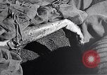 Standbild Schlacht von Iwo Jima Iwo Jima, 1945, aus Sekunde 32 historischem Filmmaterial Videoclip 65675036299