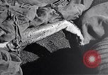 Standbild Schlacht von Iwo Jima Iwo Jima, 1945, aus Sekunde 34 historischem Filmmaterial Videoclip 65675036299