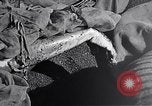 Standbild Schlacht von Iwo Jima Iwo Jima, 1945, aus Sekunde 36 historischem Filmmaterial Videoclip 65675036299