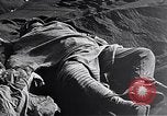 Standbild Schlacht von Iwo Jima Iwo Jima, 1945, aus Sekunde 41 historischem Filmmaterial Videoclip 65675036299