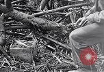 Standbild Schlacht von Iwo Jima Iwo Jima, 1945, aus Sekunde 7 historischem Filmmaterial Videoclip 65675036300