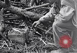 Standbild Schlacht von Iwo Jima Iwo Jima, 1945, aus Sekunde 9 historischem Filmmaterial Videoclip 65675036300
