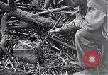 Standbild Schlacht von Iwo Jima Iwo Jima, 1945, aus Sekunde 10 historischem Filmmaterial Videoclip 65675036300