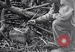 Standbild Schlacht von Iwo Jima Iwo Jima, 1945, aus Sekunde 11 historischem Filmmaterial Videoclip 65675036300