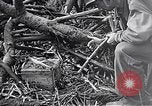 Standbild Schlacht von Iwo Jima Iwo Jima, 1945, aus Sekunde 13 historischem Filmmaterial Videoclip 65675036300