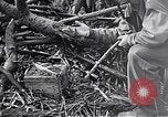Standbild Schlacht von Iwo Jima Iwo Jima, 1945, aus Sekunde 14 historischem Filmmaterial Videoclip 65675036300