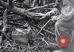 Standbild Schlacht von Iwo Jima Iwo Jima, 1945, aus Sekunde 15 historischem Filmmaterial Videoclip 65675036300