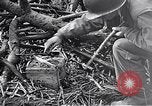 Standbild Schlacht von Iwo Jima Iwo Jima, 1945, aus Sekunde 17 historischem Filmmaterial Videoclip 65675036300