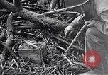 Standbild Schlacht von Iwo Jima Iwo Jima, 1945, aus Sekunde 20 historischem Filmmaterial Videoclip 65675036300