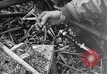 Standbild Schlacht von Iwo Jima Iwo Jima, 1945, aus Sekunde 23 historischem Filmmaterial Videoclip 65675036300