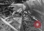 Standbild Schlacht von Iwo Jima Iwo Jima, 1945, aus Sekunde 25 historischem Filmmaterial Videoclip 65675036300