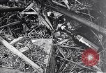 Standbild Schlacht von Iwo Jima Iwo Jima, 1945, aus Sekunde 26 historischem Filmmaterial Videoclip 65675036300