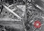 Standbild Schlacht von Iwo Jima Iwo Jima, 1945, aus Sekunde 28 historischem Filmmaterial Videoclip 65675036300