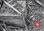 Standbild Schlacht von Iwo Jima Iwo Jima, 1945, aus Sekunde 29 historischem Filmmaterial Videoclip 65675036300