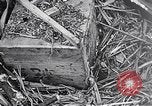 Standbild Schlacht von Iwo Jima Iwo Jima, 1945, aus Sekunde 30 historischem Filmmaterial Videoclip 65675036300