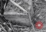 Standbild Schlacht von Iwo Jima Iwo Jima, 1945, aus Sekunde 31 historischem Filmmaterial Videoclip 65675036300