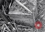 Standbild Schlacht von Iwo Jima Iwo Jima, 1945, aus Sekunde 32 historischem Filmmaterial Videoclip 65675036300