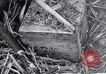 Standbild Schlacht von Iwo Jima Iwo Jima, 1945, aus Sekunde 33 historischem Filmmaterial Videoclip 65675036300