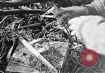 Standbild Schlacht von Iwo Jima Iwo Jima, 1945, aus Sekunde 35 historischem Filmmaterial Videoclip 65675036300