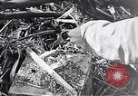 Standbild Schlacht von Iwo Jima Iwo Jima, 1945, aus Sekunde 36 historischem Filmmaterial Videoclip 65675036300