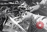 Standbild Schlacht von Iwo Jima Iwo Jima, 1945, aus Sekunde 42 historischem Filmmaterial Videoclip 65675036300