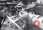 Standbild Schlacht von Iwo Jima Iwo Jima, 1945, aus Sekunde 43 historischem Filmmaterial Videoclip 65675036300