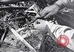Standbild Schlacht von Iwo Jima Iwo Jima, 1945, aus Sekunde 44 historischem Filmmaterial Videoclip 65675036300