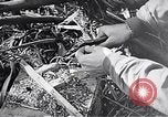 Standbild Schlacht von Iwo Jima Iwo Jima, 1945, aus Sekunde 45 historischem Filmmaterial Videoclip 65675036300