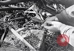 Standbild Schlacht von Iwo Jima Iwo Jima, 1945, aus Sekunde 46 historischem Filmmaterial Videoclip 65675036300