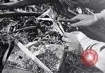 Standbild Schlacht von Iwo Jima Iwo Jima, 1945, aus Sekunde 47 historischem Filmmaterial Videoclip 65675036300