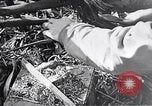 Standbild Schlacht von Iwo Jima Iwo Jima, 1945, aus Sekunde 48 historischem Filmmaterial Videoclip 65675036300