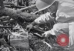 Standbild Schlacht von Iwo Jima Iwo Jima, 1945, aus Sekunde 49 historischem Filmmaterial Videoclip 65675036300