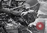 Standbild Schlacht von Iwo Jima Iwo Jima, 1945, aus Sekunde 50 historischem Filmmaterial Videoclip 65675036300