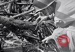 Standbild Schlacht von Iwo Jima Iwo Jima, 1945, aus Sekunde 51 historischem Filmmaterial Videoclip 65675036300