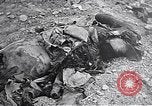 Image bataille d'Iwo Jima Iwo Jima, 1945, de la seconde 45 séquences d'archives historiques vidéo 65675036302